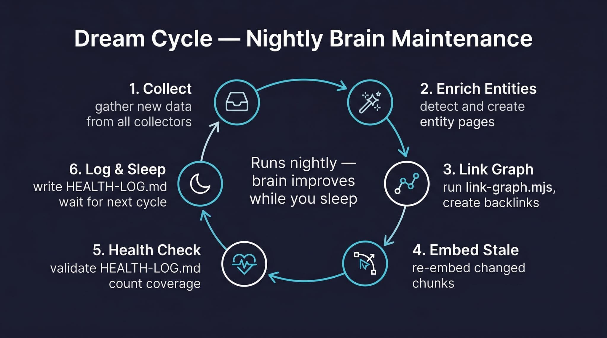 Dream Cycle — collect, enrich entities, link graph, embed stale, health check, log & sleep — runs nightly while the brain improves